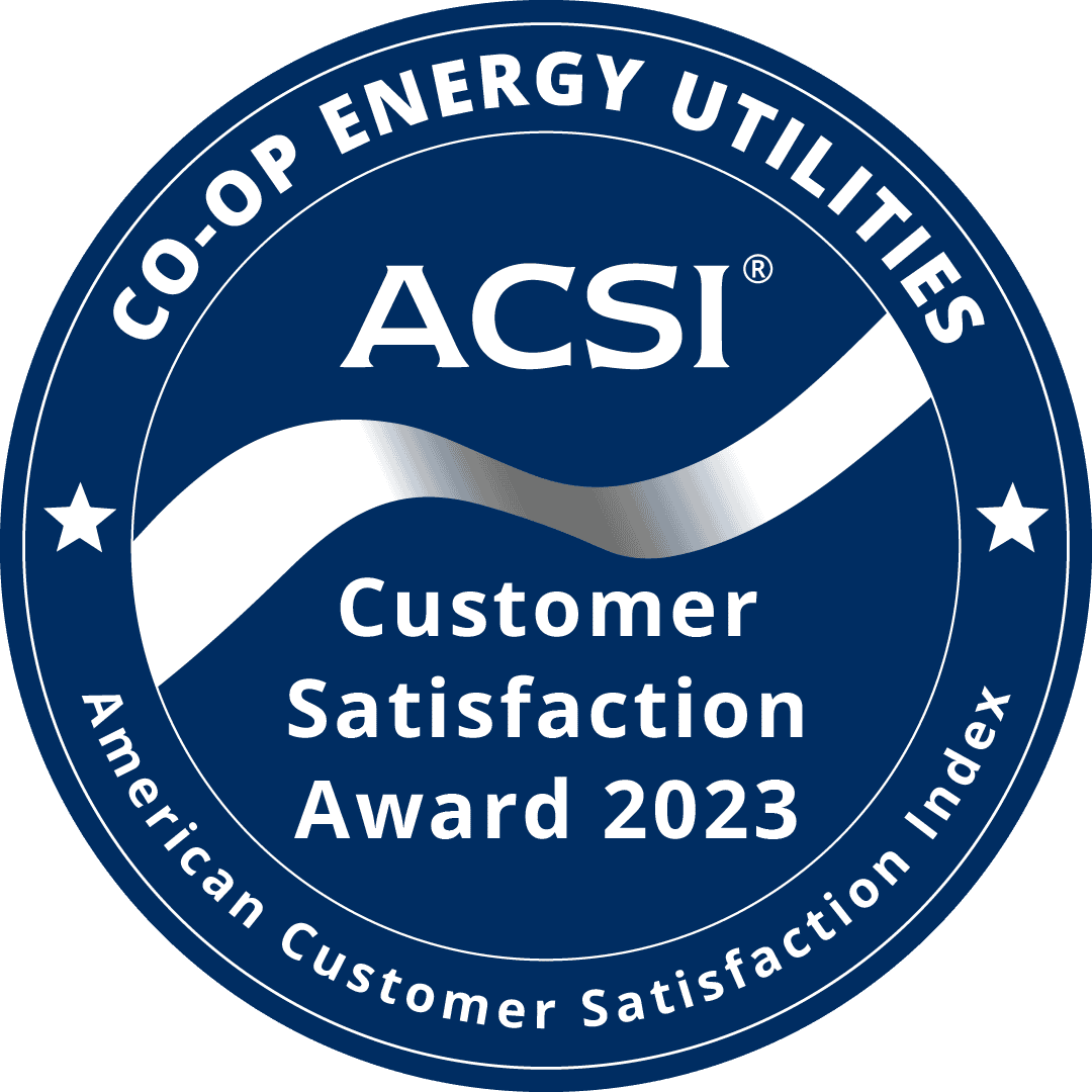 ACSI Customer Satisfaction Award Badge