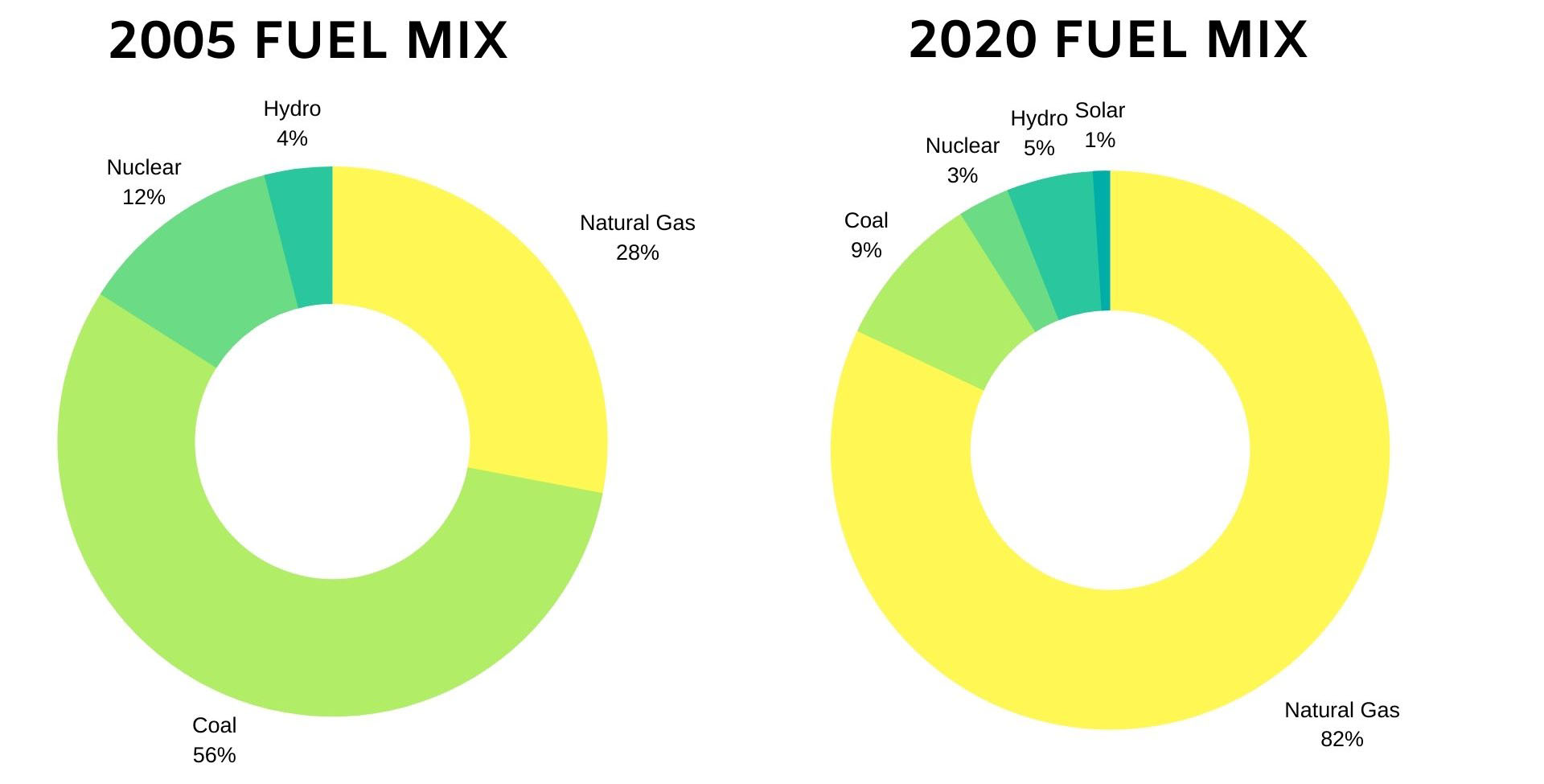 Fuel Mix 2020